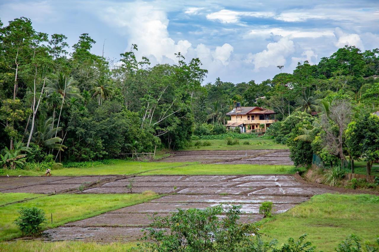Happy Villa Hikkaduwa Bagian luar foto